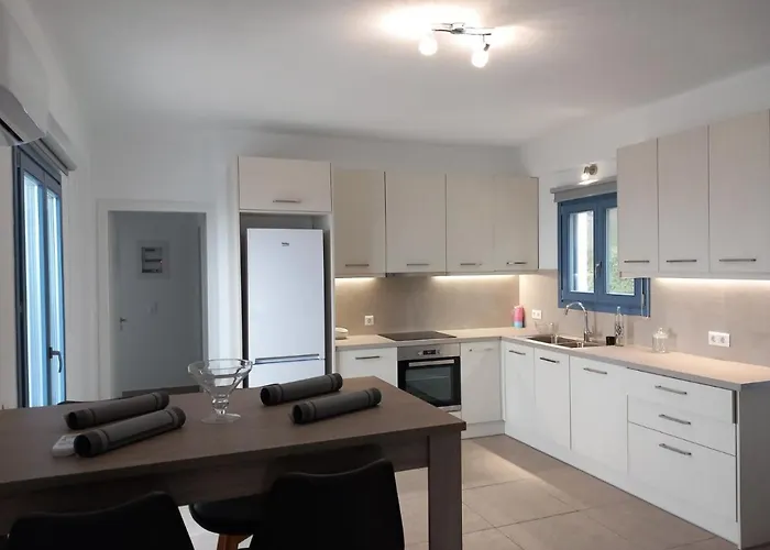 Aegean Mirror, Andros Daire Aprovaton