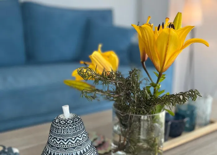 Aegean Mirror, Andros * Aprovaton