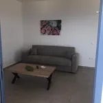 Aegean Mirror, Andros Appartement Aprovaton