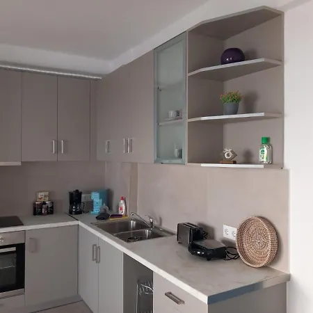 Aegean Mirror, Andros Aprovaton