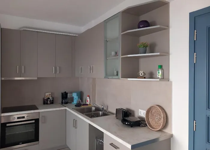 Aegean Mirror, Andros Aprovaton